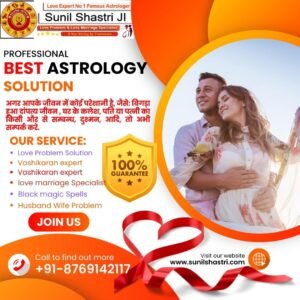Love problem solution astrologer in USA