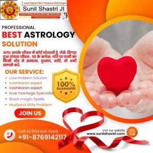 Best love problem solution astrologer