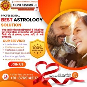 Famous love problem solution astrologer